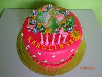 /album/detske/dsc00739-jpg/