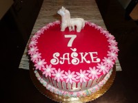 /album/detske/dsc05678-jpg/